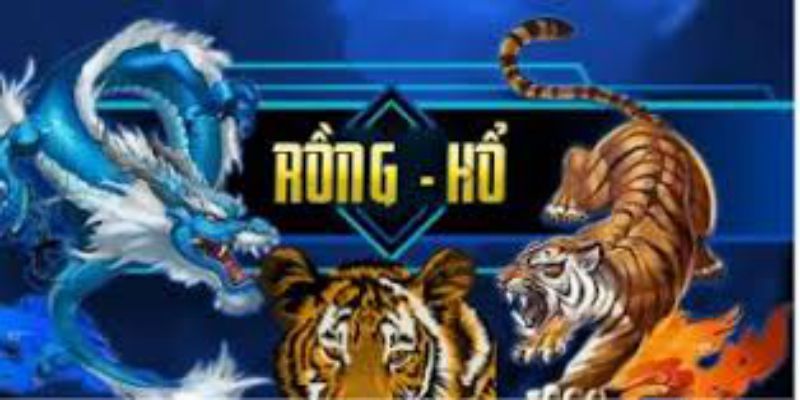 Luật chơi cơ bản của tựa game Rồng Hổ online 